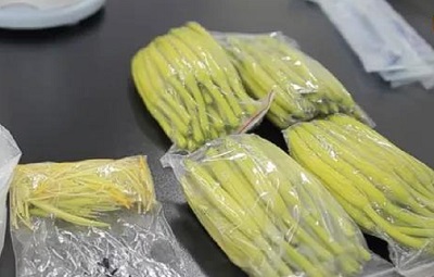 饭堂承包公司绿都膳食告诉您：黄花菜的正确食用方法及储存方法