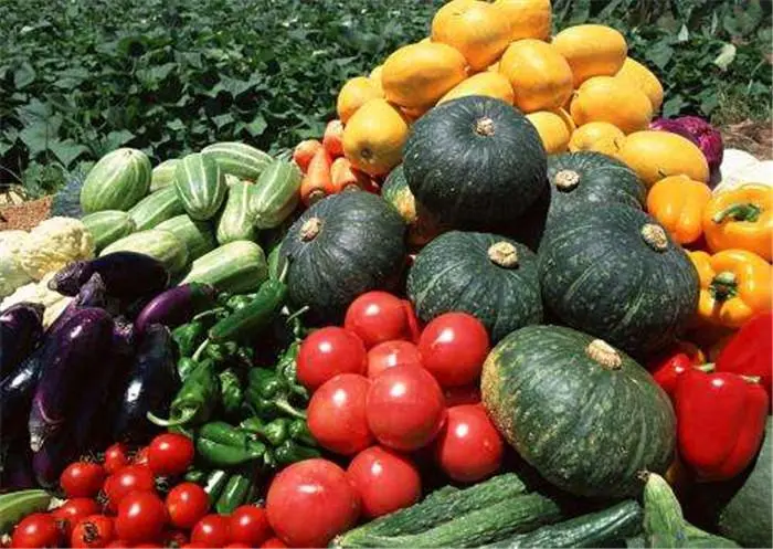 惠州蔬菜配送过程的重要问题是什么？